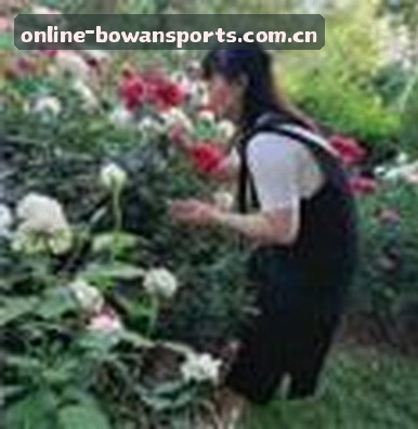 孙悦